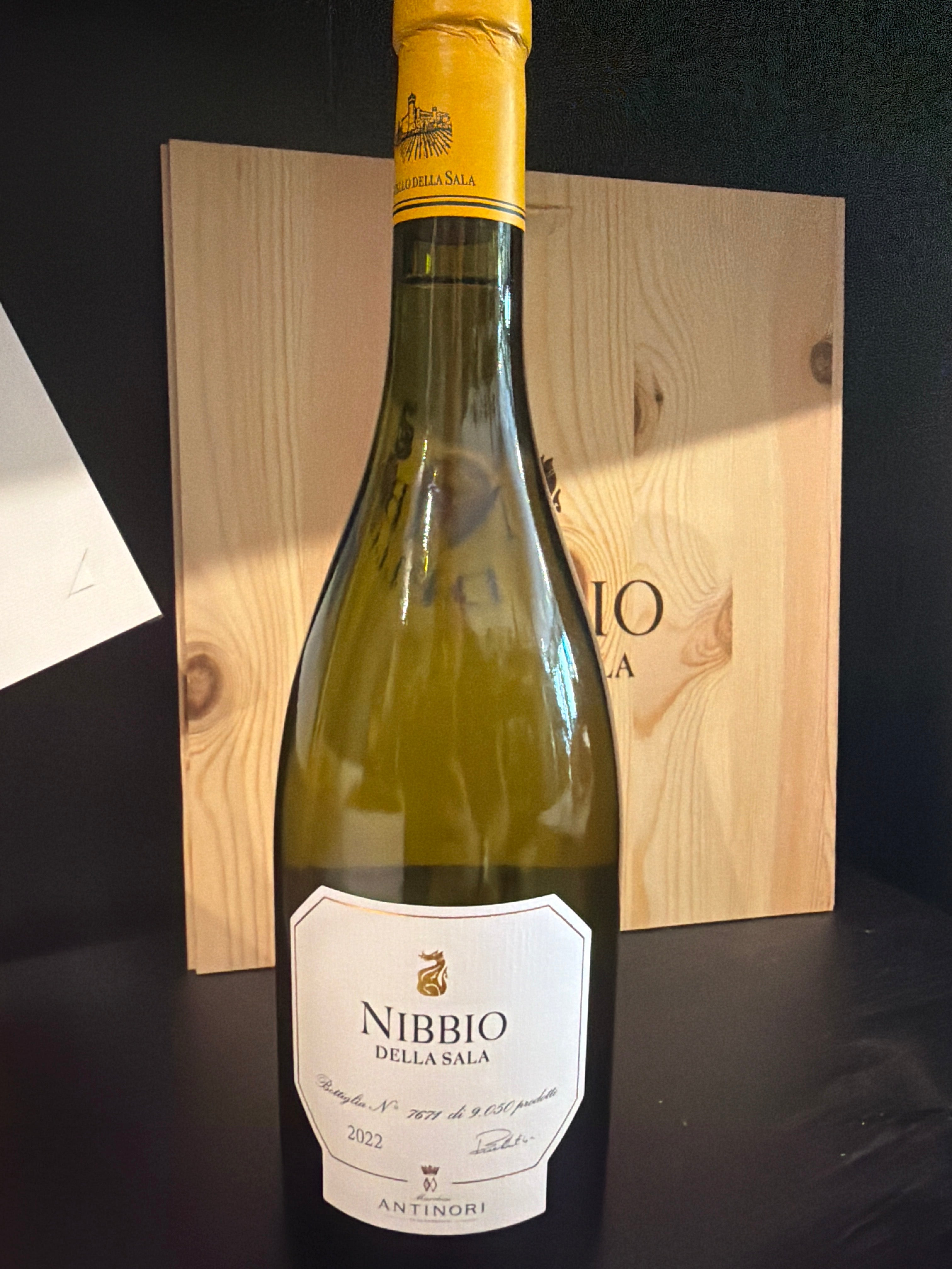 Nibbio della sala Antinori 2022
