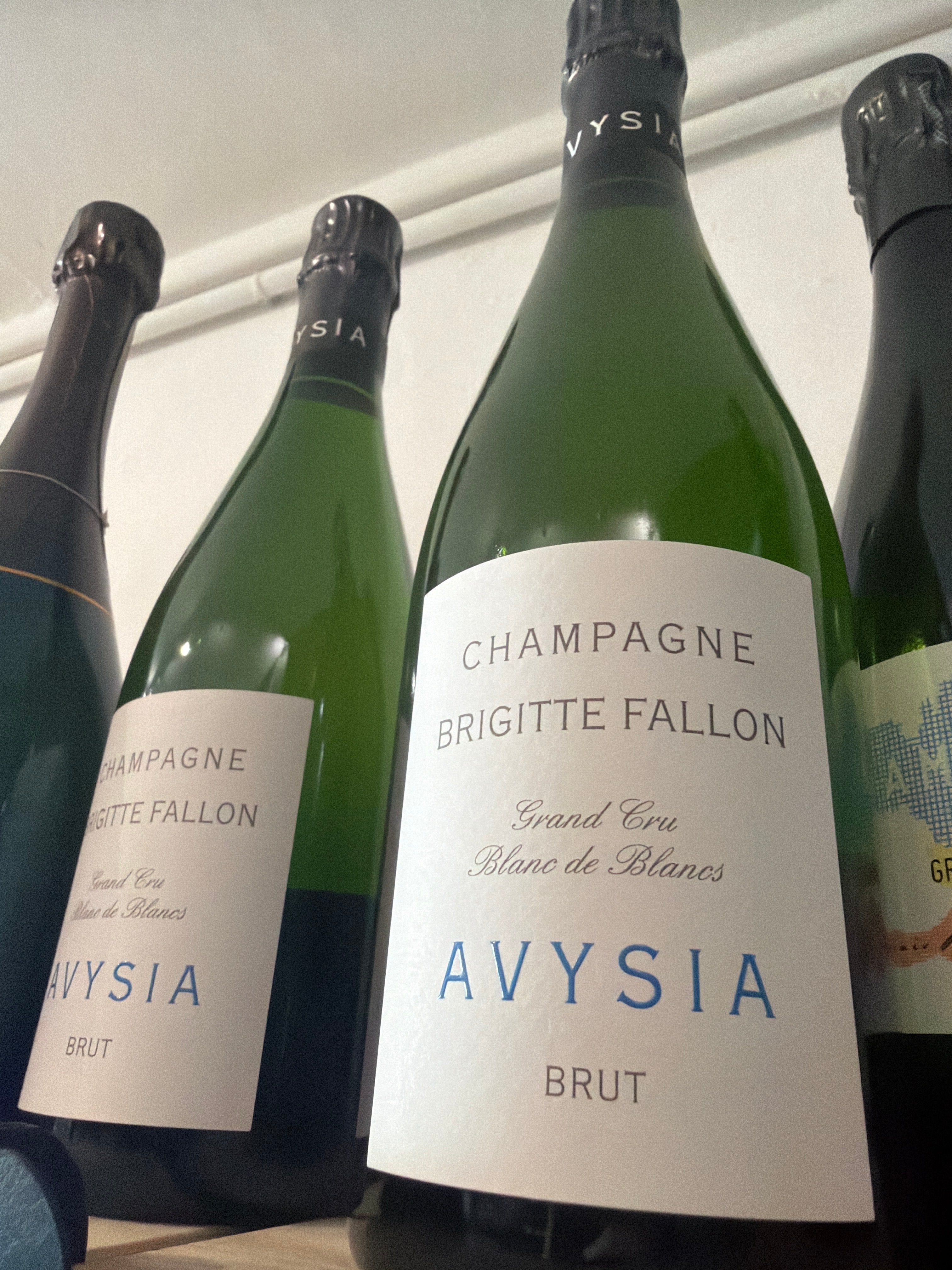 Brigitte fallon avysia brut